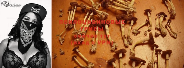 крисы Армянск