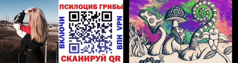 Псилоцибиновые грибы Psilocybe  где купить наркоту  Владивосток 